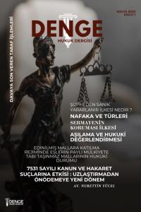 Denge Hukuk Dergisi Mayıs 2025 Sayı 1